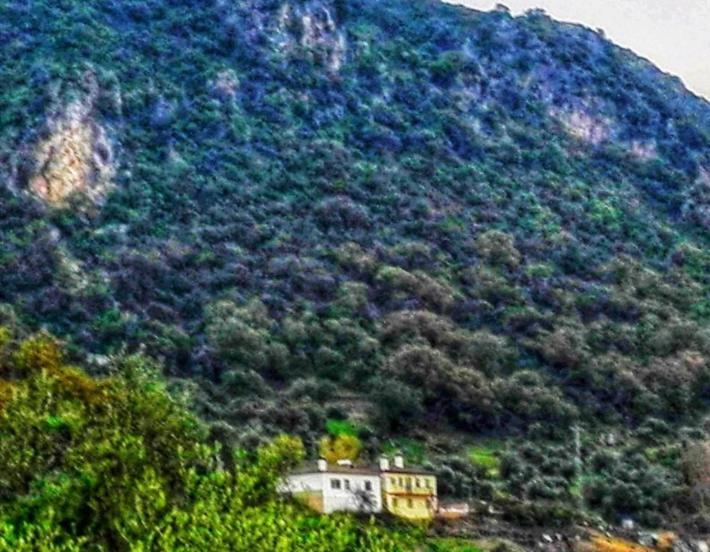 La Buhardilla de Torrecillas El Bosque Esterno foto