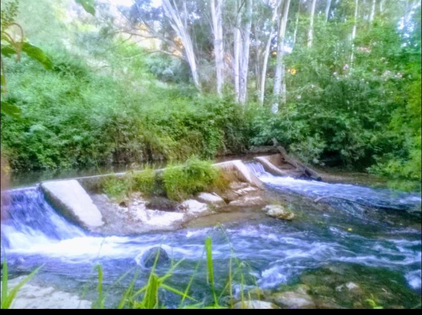 La Buhardilla de Torrecillas El Bosque Esterno foto